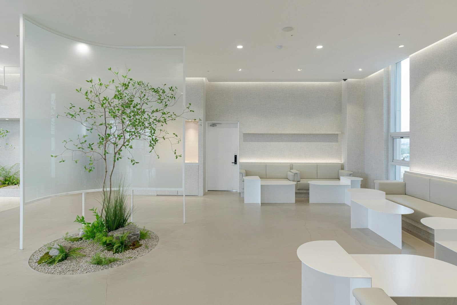 A calm, light waiting room with white seating and an indoor tree