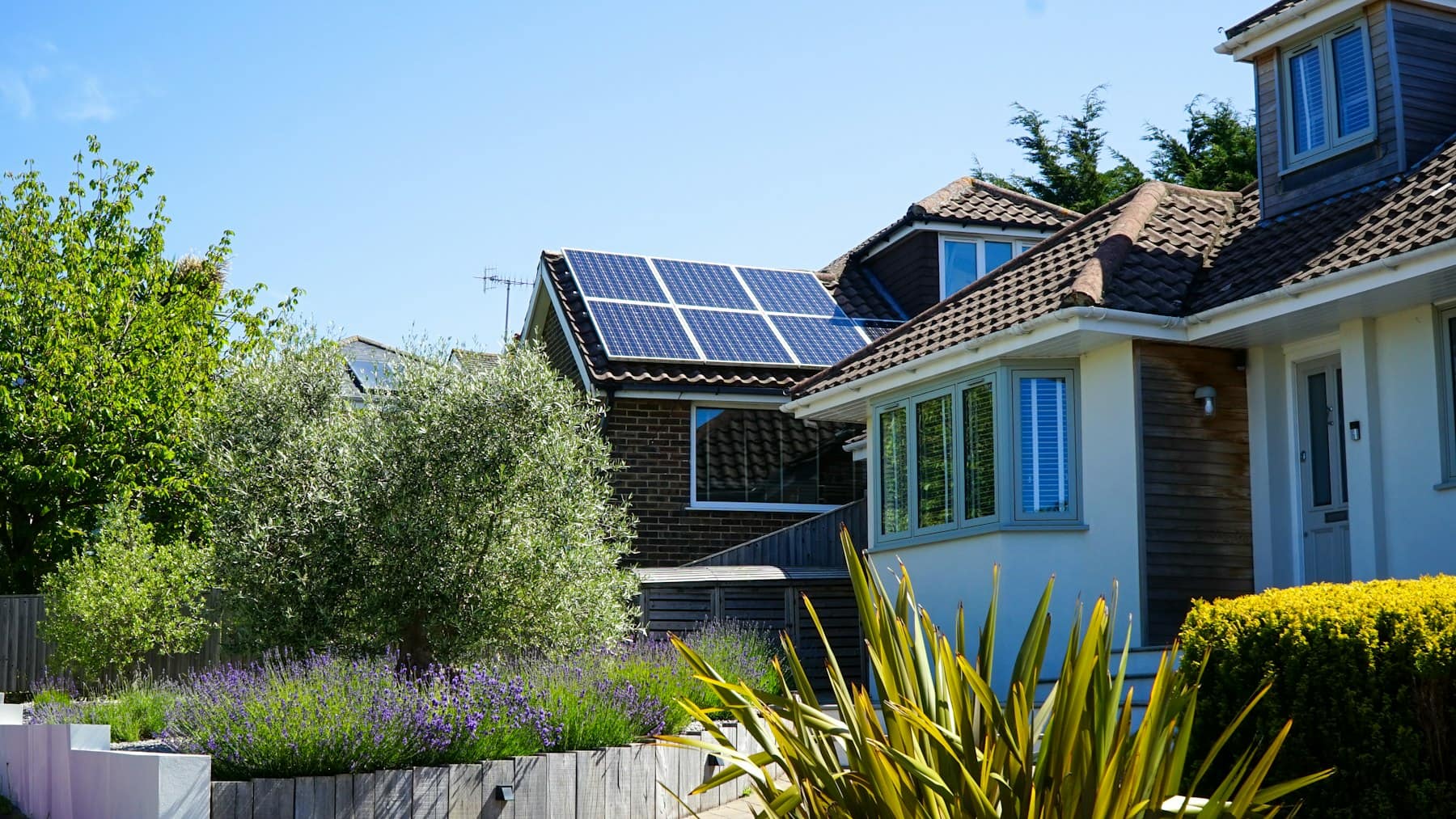 A detached brick and render house with a row of solar panels on its tiled roof, behind a leafy garden