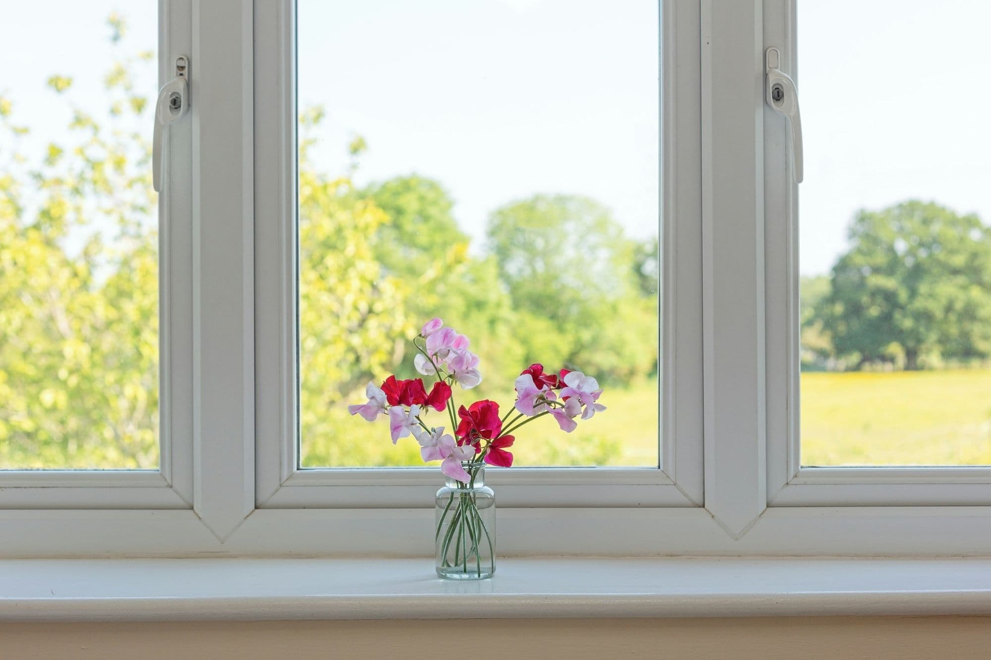 A white casement window, freshly cleaned, looking out over trees and a buttercup field, sweet peas in a jar on the sill