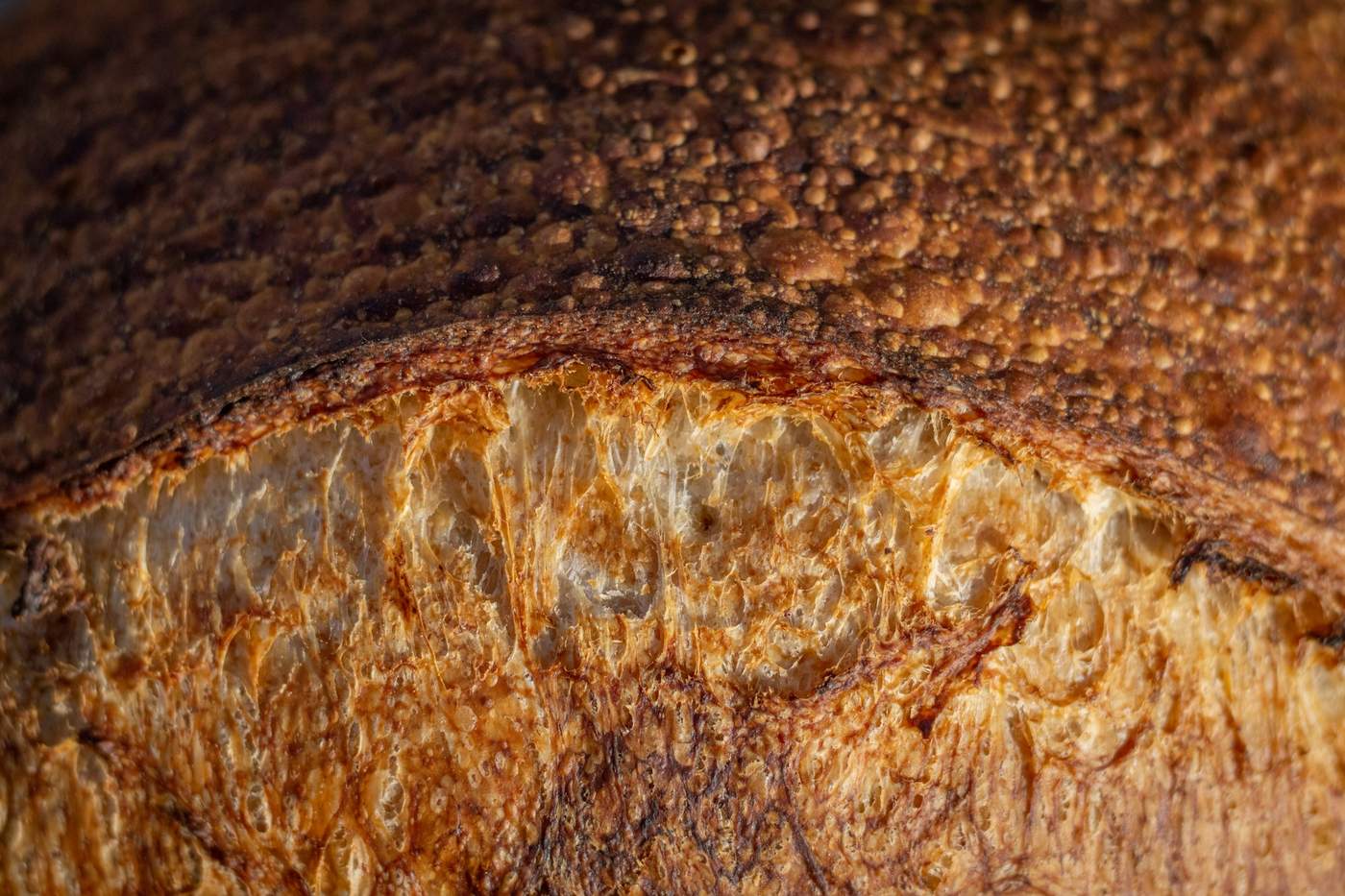 Extreme close-up of a dark, crackled sourdough crust