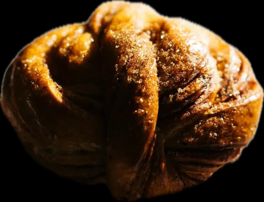 A dark, glossy knotted cardamom bun