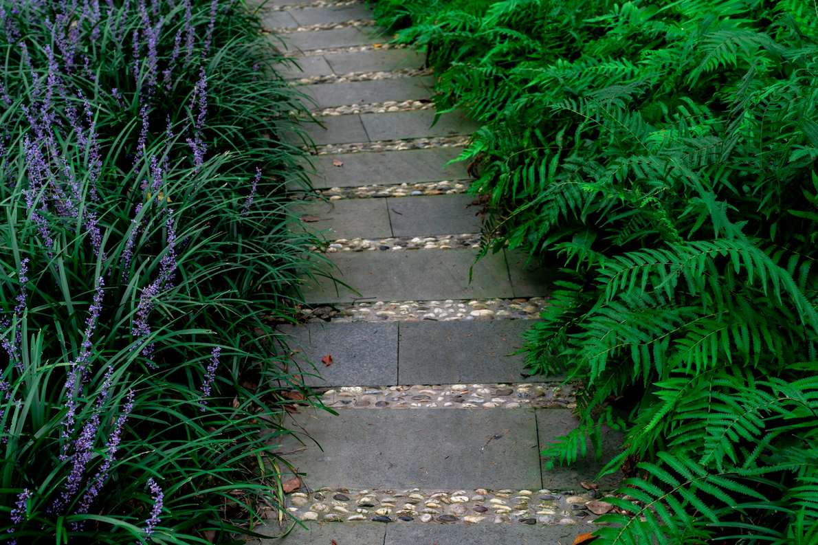 Stone stepping path running between ferns and grasses
