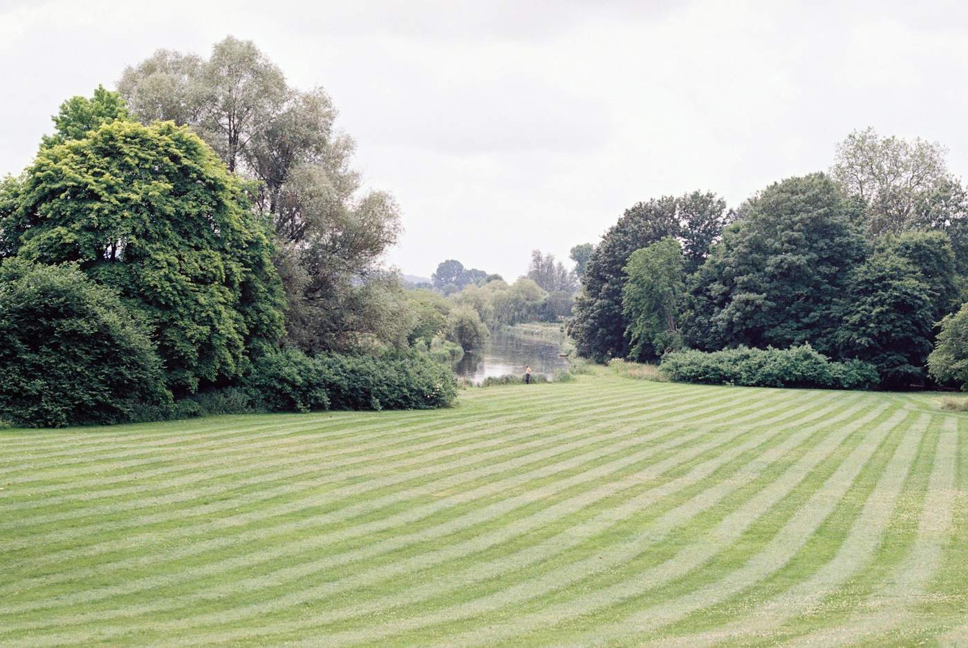 A freshly striped lawn edged by mature trees