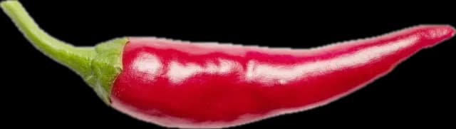 A red chilli