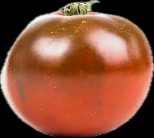 A dark heritage tomato