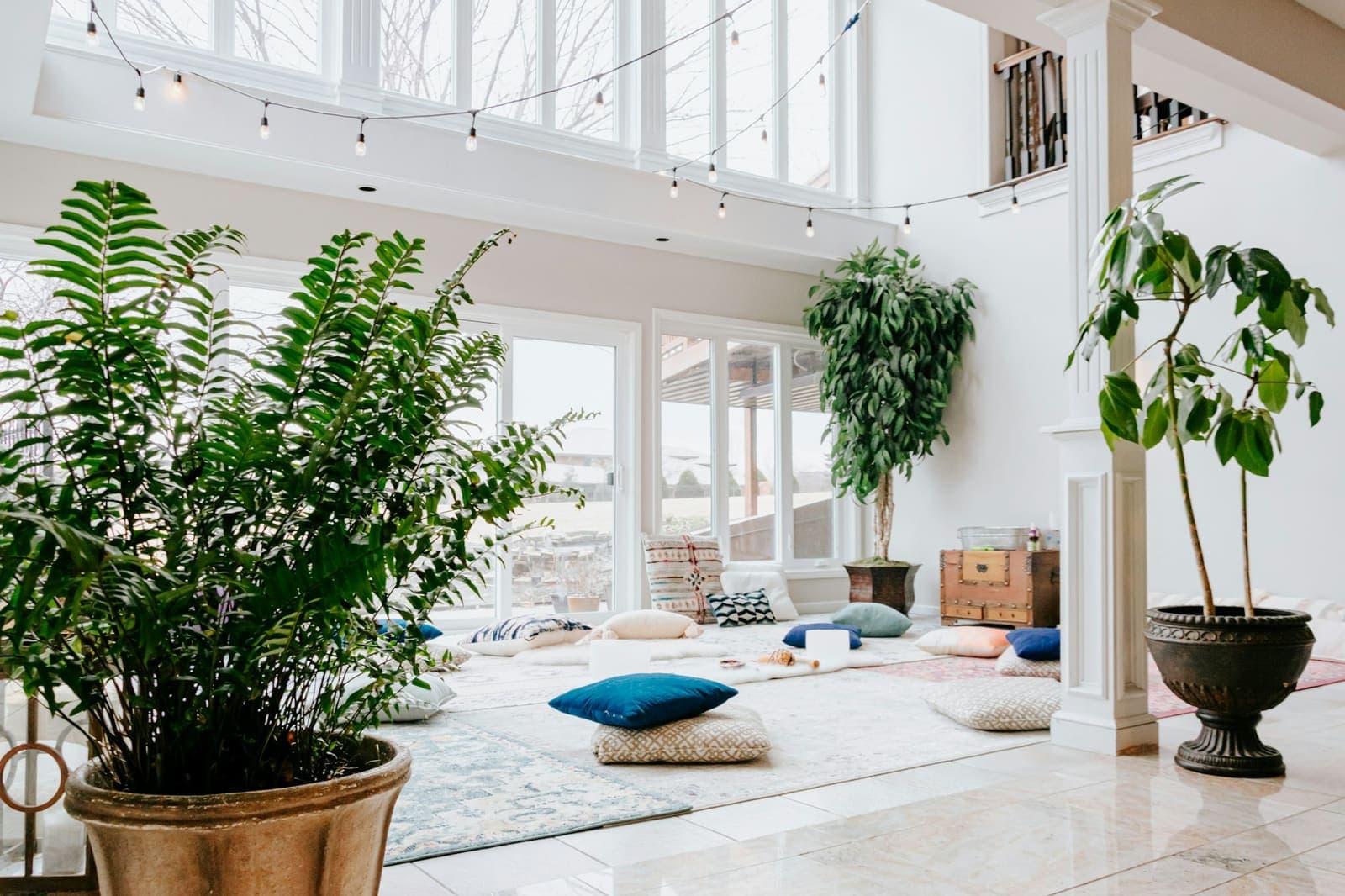 A bright, airy studio room with pale floors, tall windows and large potted plants