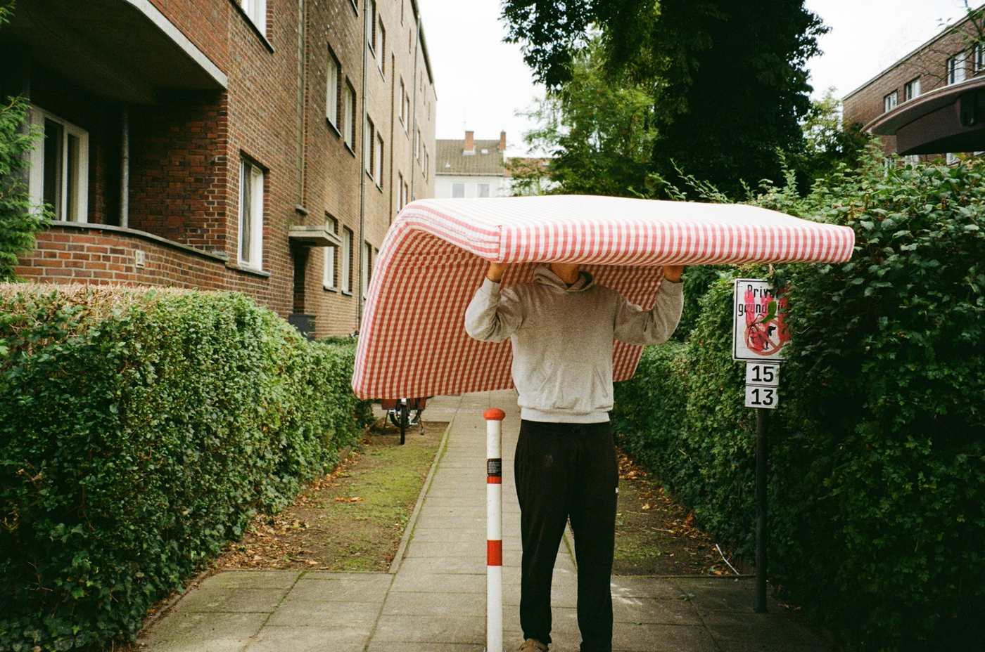 A man carrying a mattress over his head along a hedged path between brick flats