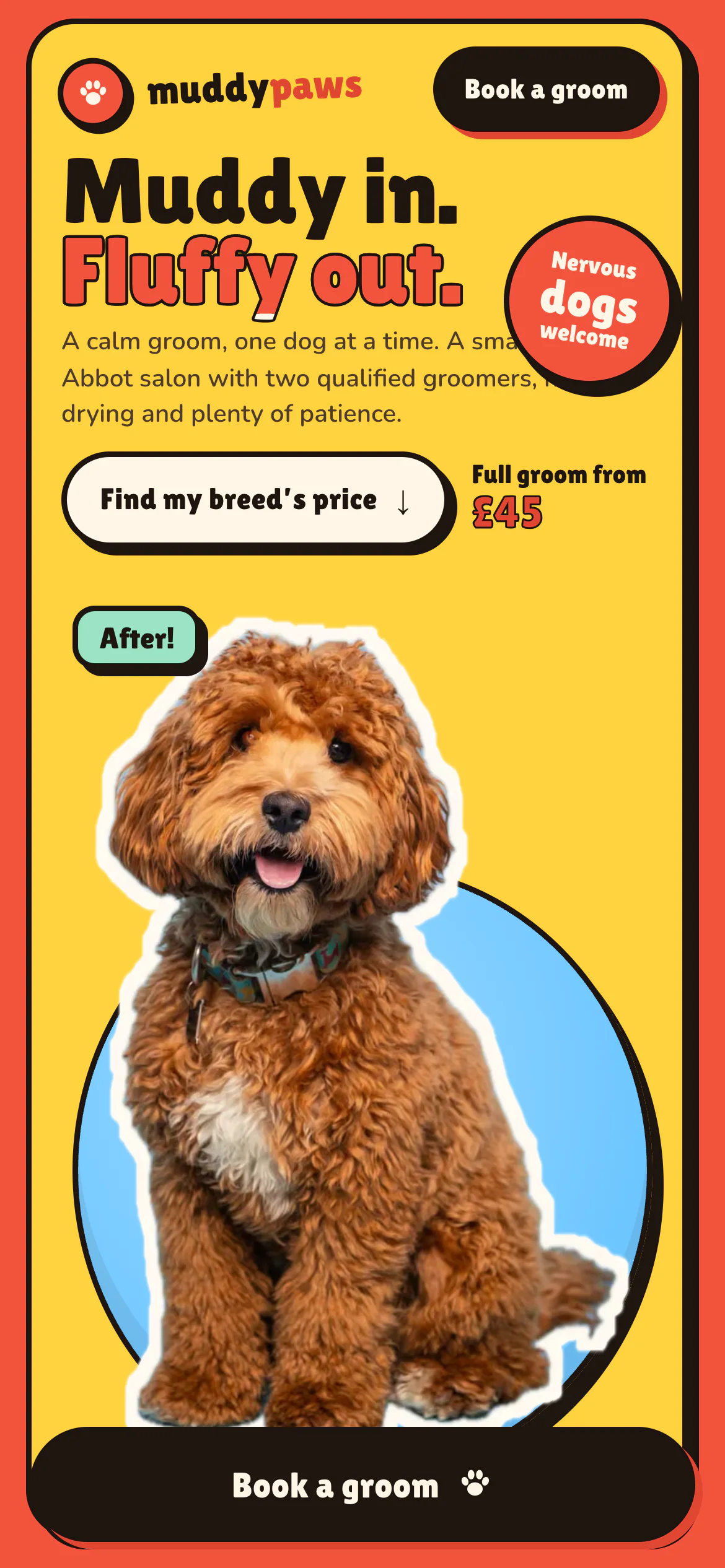 The Muddy Paws Grooming website on a phone
